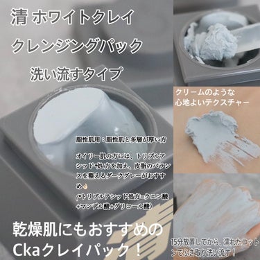クレイパック 清 ライトグレー（しっとり）/C+/洗い流すパック・マスクを使ったクチコミ（2枚目）