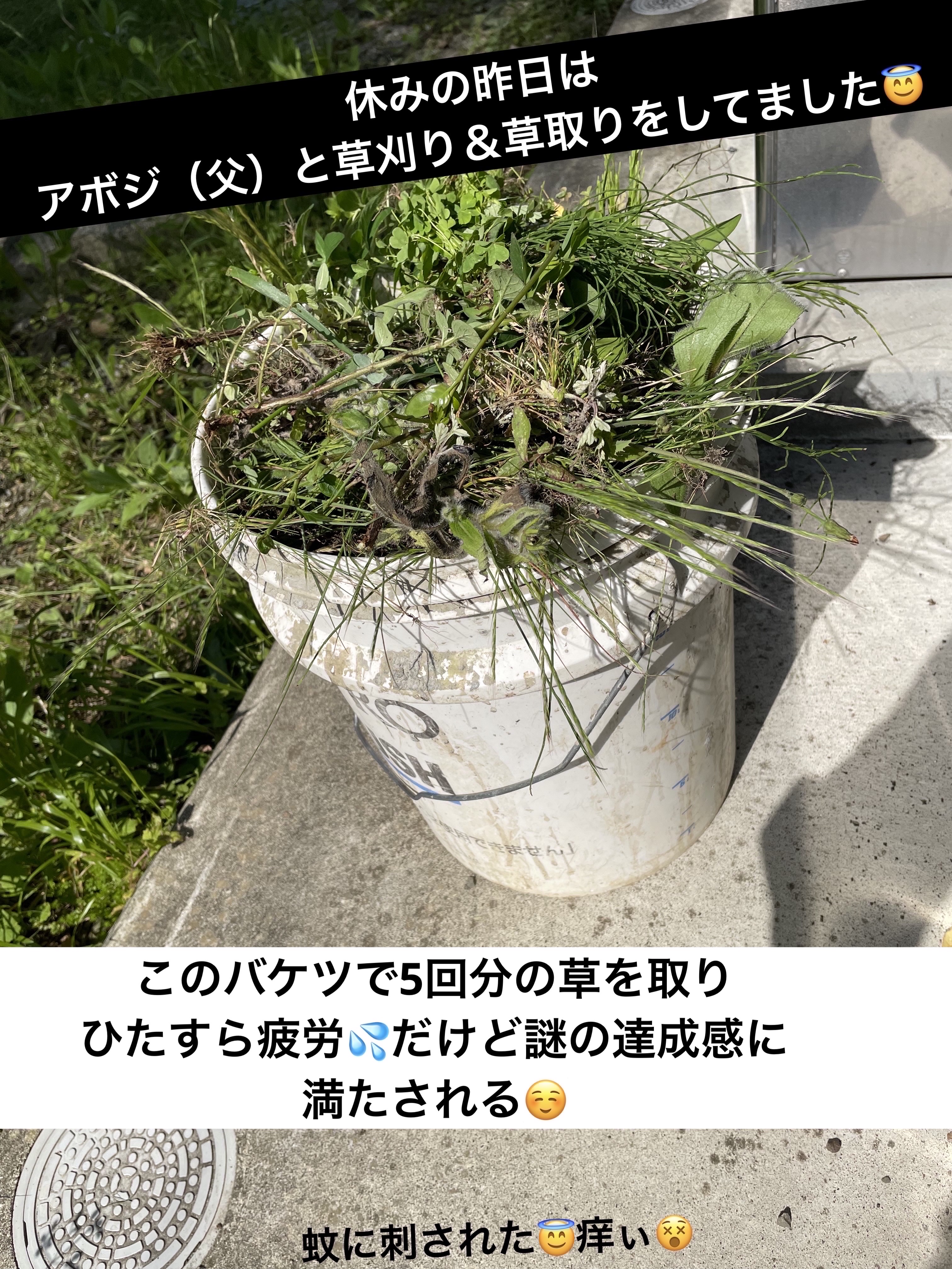 レ キャトル オンブル 274 コード エレガン/CHANEL/アイシャドウパレットを使ったクチコミ（3枚目）