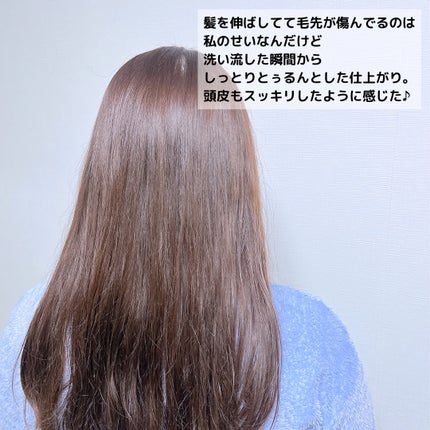 ローズマリー スカルプクレンジング/WELEDA/頭皮クレンジングを使ったクチコミ(5枚目)