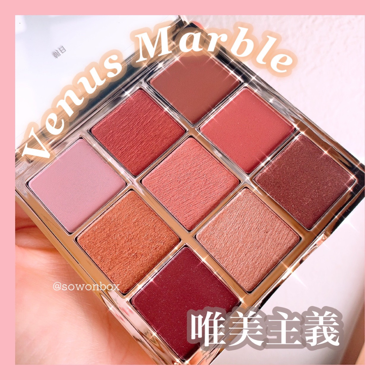 VenusMarble 9色アイシャドウパレット Estheticism（エステティシズム）/Venus Marble/アイシャドウパレットを使ったクチコミ（1枚目）