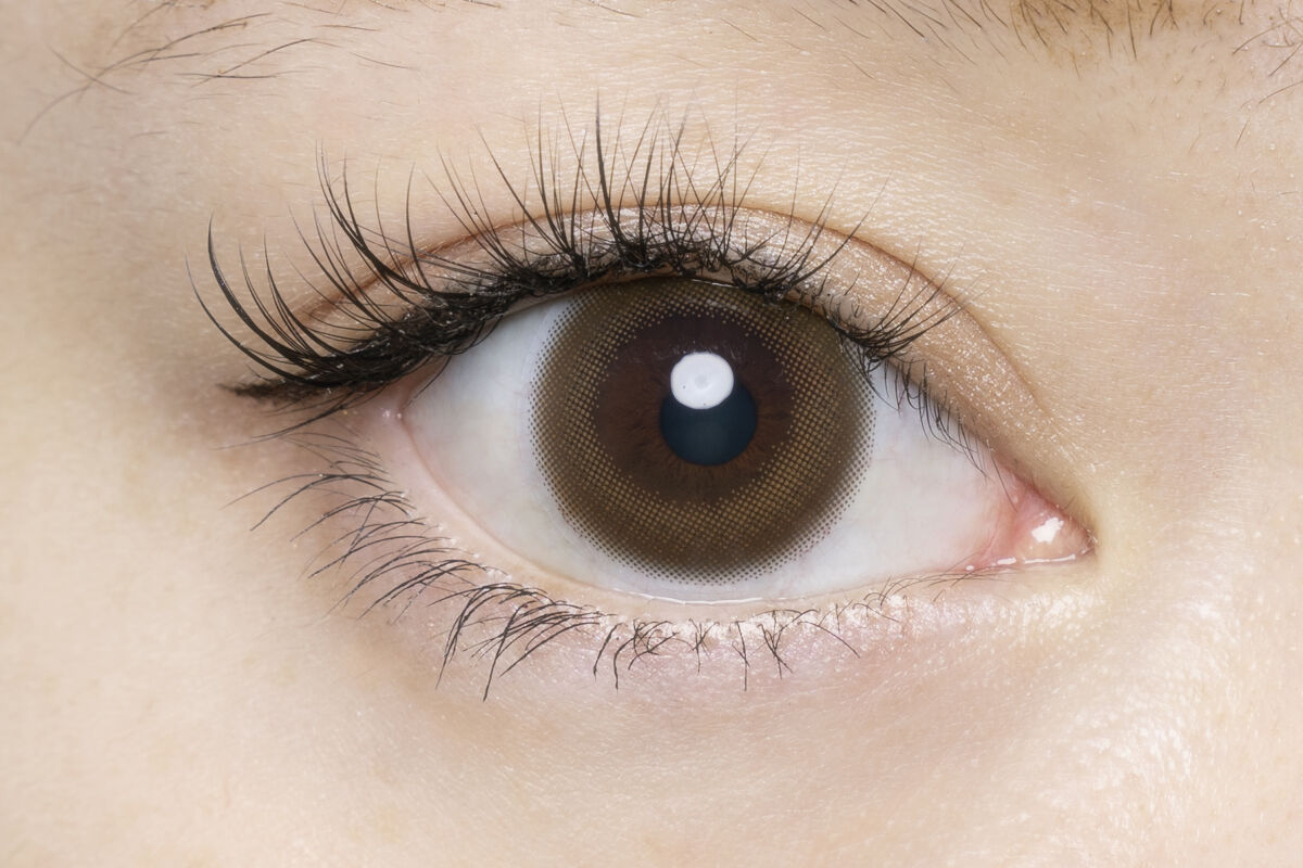 FLANMY 1day キナコロール