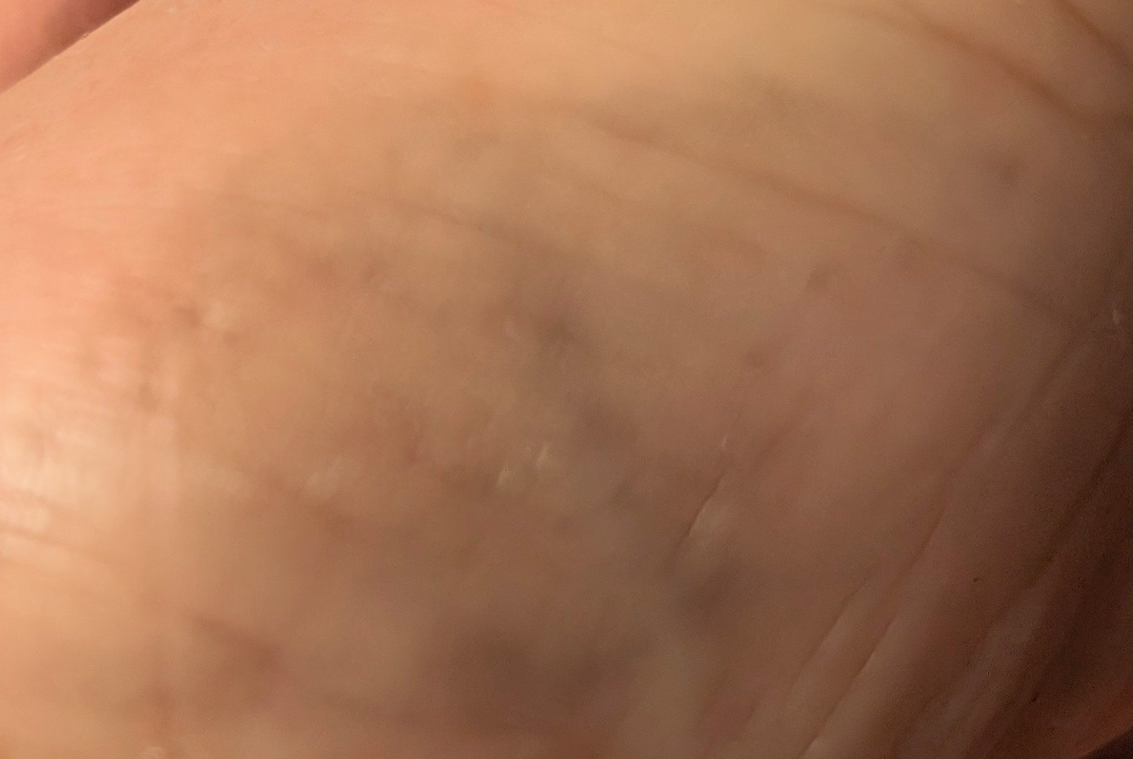 メタルックマスカラ/キャンメイク/マスカラを使ったクチコミ（3枚目）