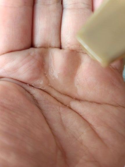 オイルインシャンプー/オイルインコンディショナー (グロス&リペア)/ディアボーテ/市販シャンプーを使ったクチコミ(2枚目)