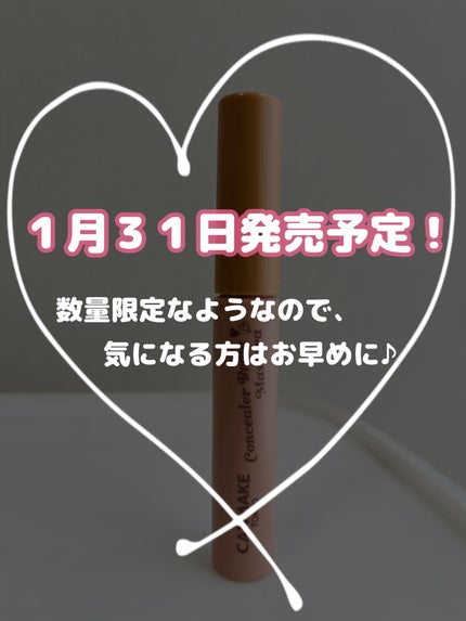 コンシーラーブロウマスカラ/キャンメイク/その他アイブロウを使ったクチコミ(7枚目)