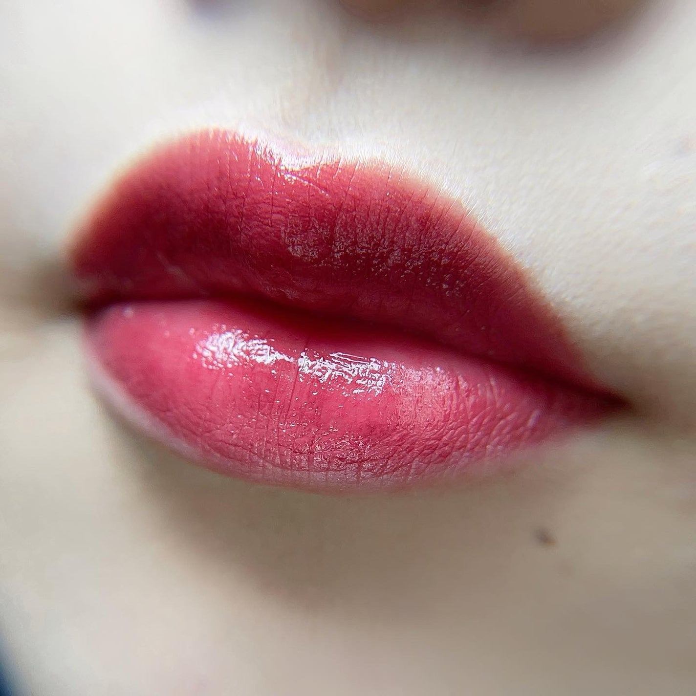 ネンマクフェイク ルージュ/Visée/口紅を使ったクチコミ(4枚目)