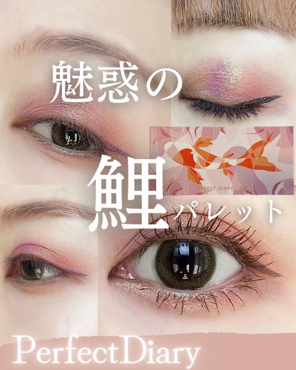 エクスプローラ12色 動物アイシャドウパレット/PERFECT DIARY/アイシャドウパレットを使ったクチコミ(1枚目)