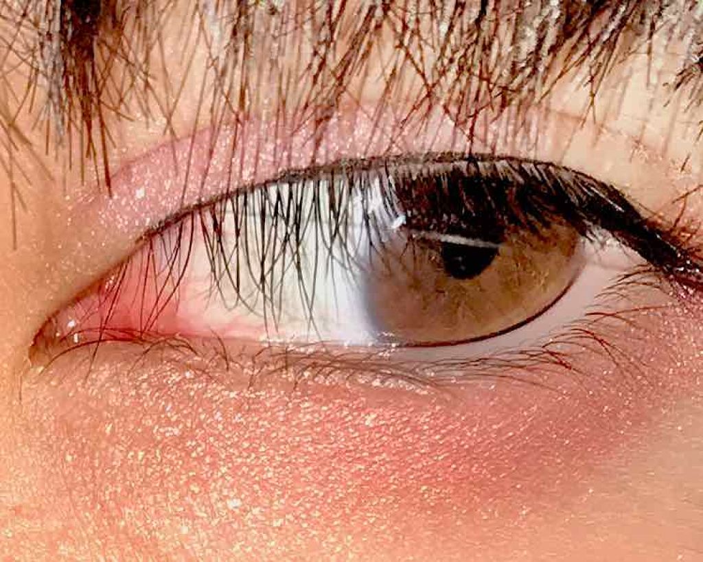 グロウフルールチークス/キャンメイク/パウダーチークを使ったクチコミ(2枚目)