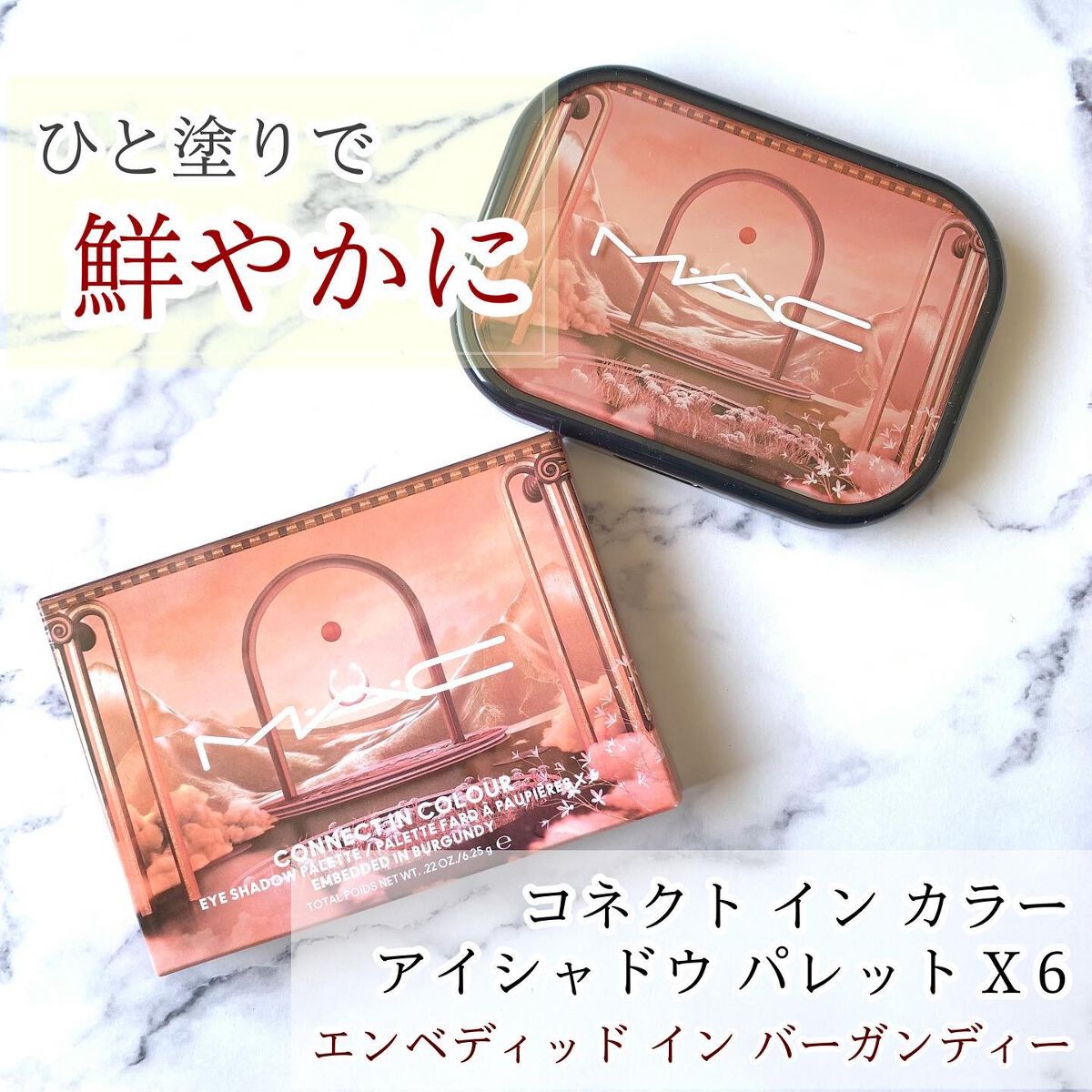 コネクト イン カラー アイシャドウ パレット × 6/M・A・C/アイシャドウパレットを使ったクチコミ(1枚目)