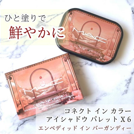 コネクト イン カラー アイシャドウ パレット × 6/M・A・C/アイシャドウパレットを使ったクチコミ(1枚目)
