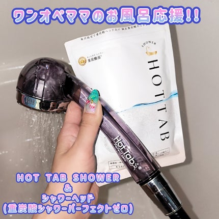 HOT TAB SHOWER/HOT TAB/シャワーヘッドを使ったクチコミ(1枚目)