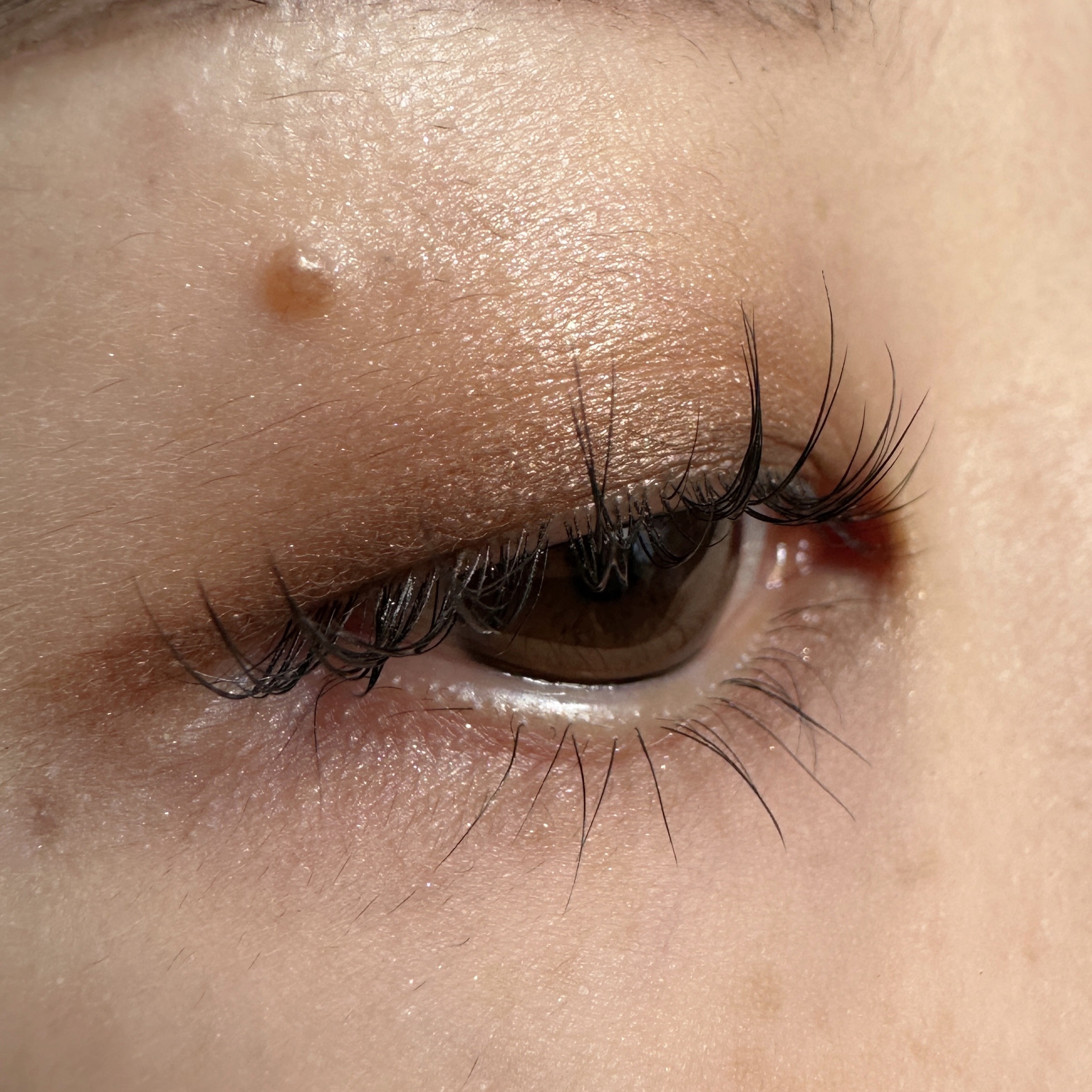 ミラクルラッシュジェル　トリートメント/CKL/マスカラを使ったクチコミ（3枚目）