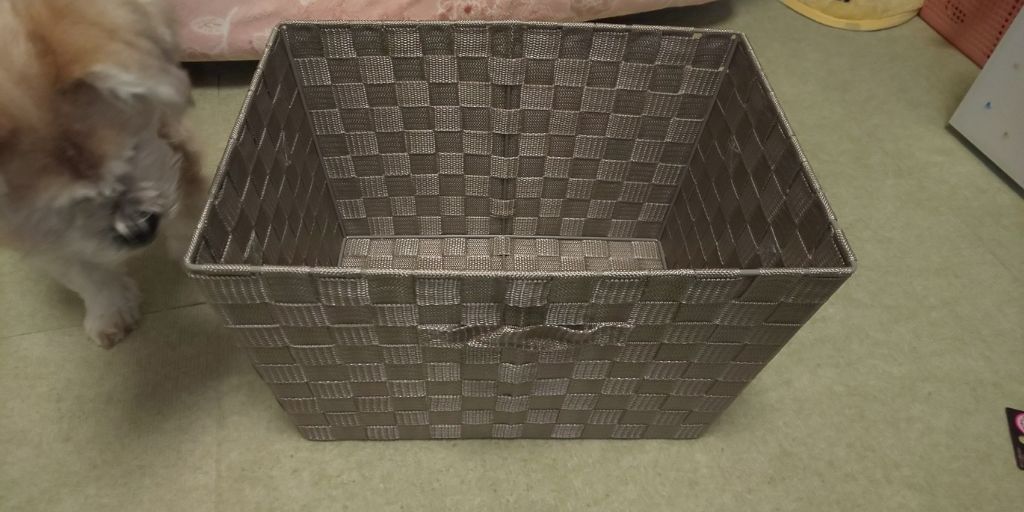 ð»KanonâšçŸåã³ã¹ã¡å³éâºïžè²å å·¥ãªãð on LIPS ããã¡ãã¯DAISO賌å
¥åã§ãã話é¡ã®ãã®ããããŸãã®ã§ãæ¯éå..ãïŒ2æç®ïŒ