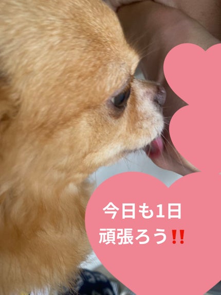 「密着アイライナー」ショート筆リキッド/デジャヴュ/リキッドアイライナーを使ったクチコミ(10枚目)