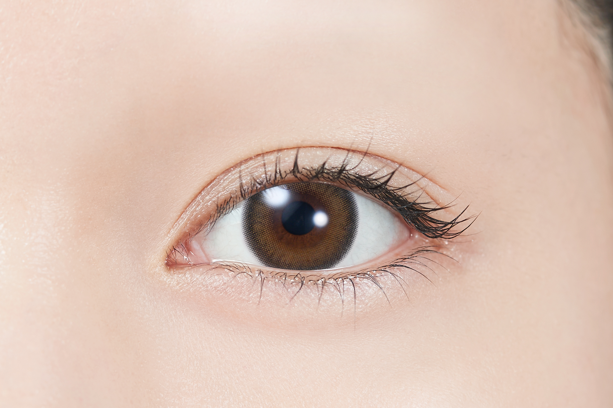 TOPARDS 1day ココトパーズ