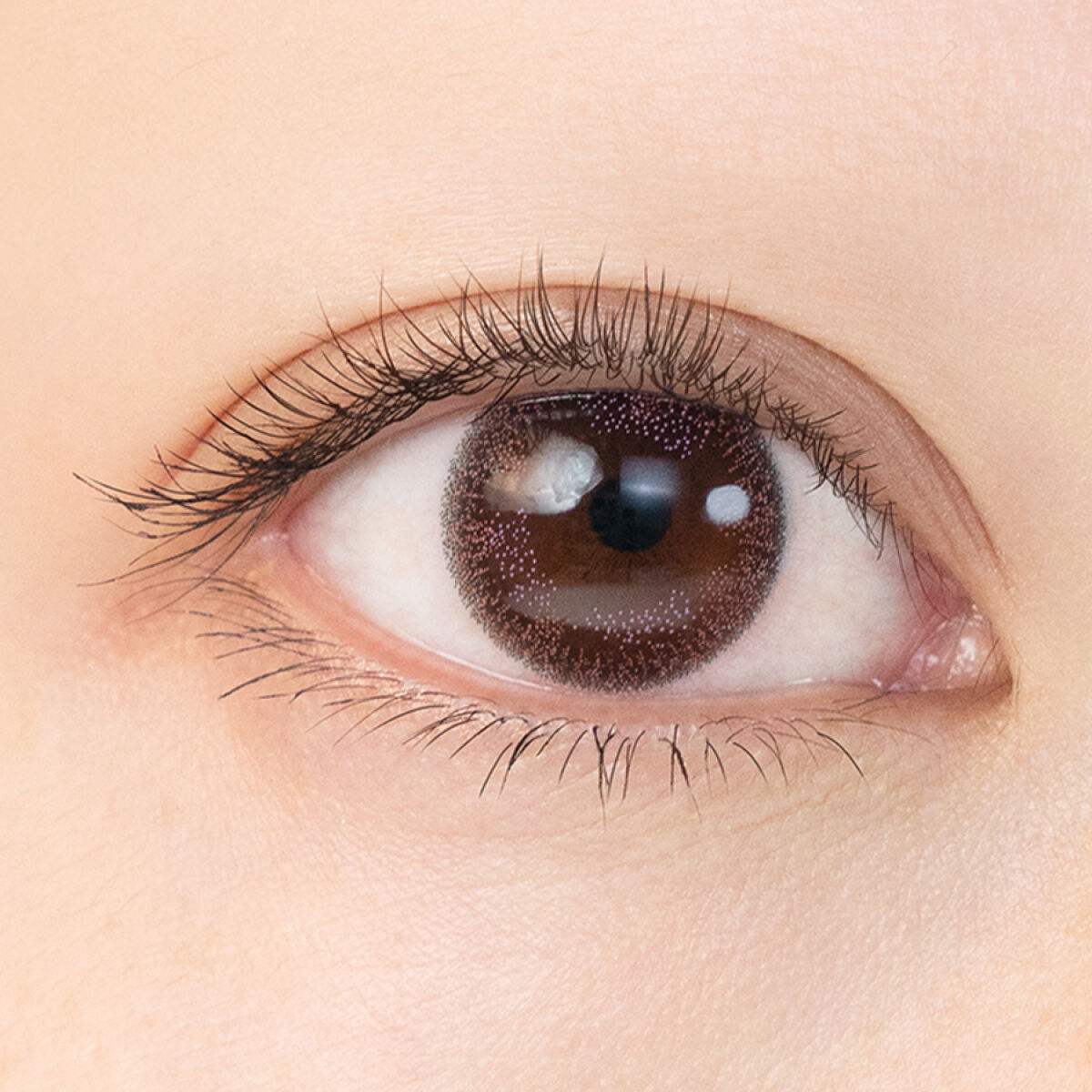 OvE（オヴィ） 1day OvE８