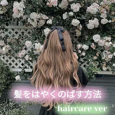 オイルトリートメント #EXヘアオイル/ルシードエル/ヘアオイルを使ったクチコミ（1枚目）