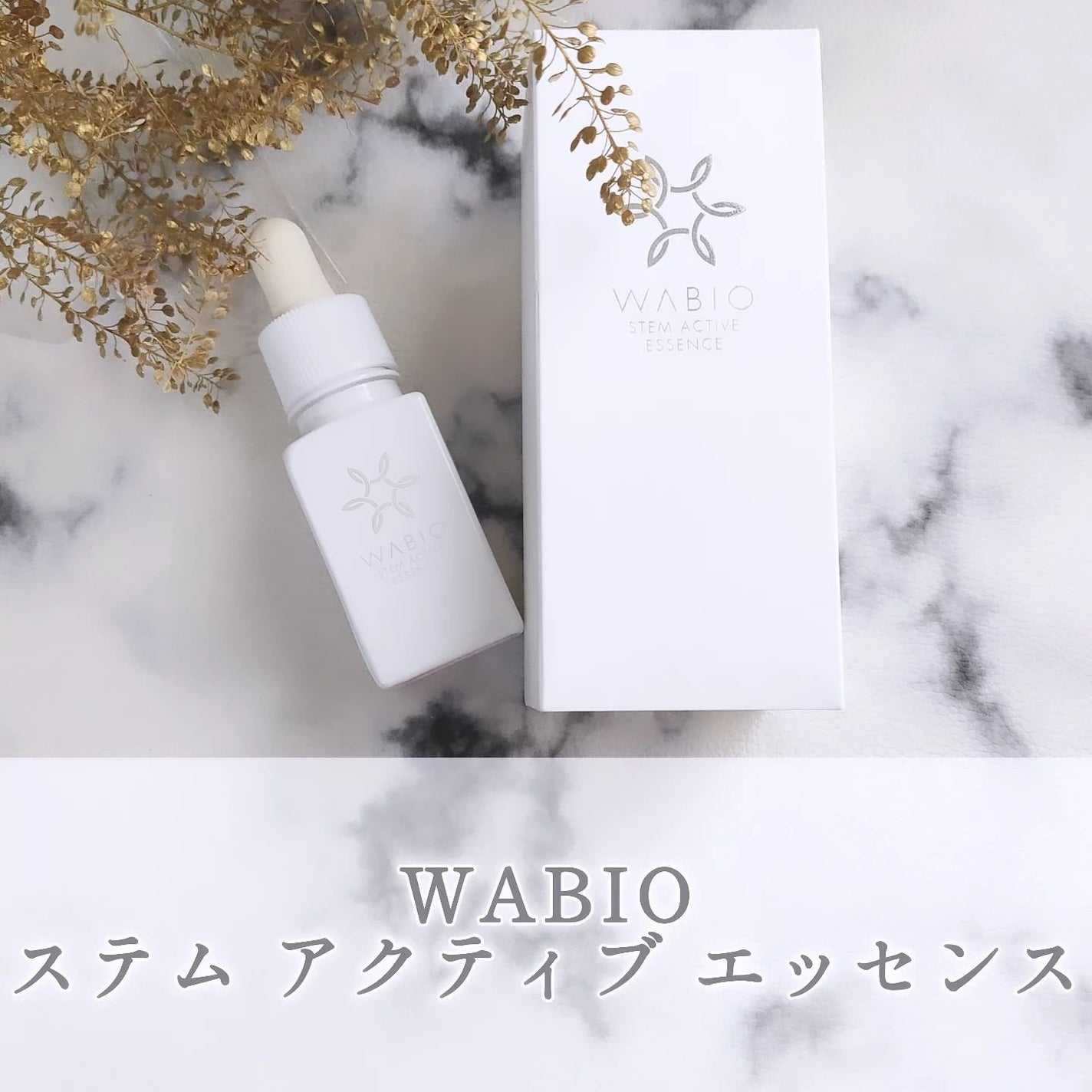 ステム アクティブ エッセンス/WABIO/美容液を使ったクチコミ(1枚目)