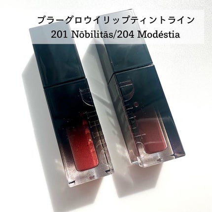 ブラーフィニシュシャドウパレット/Dinto/アイシャドウパレットを使ったクチコミ(7枚目)