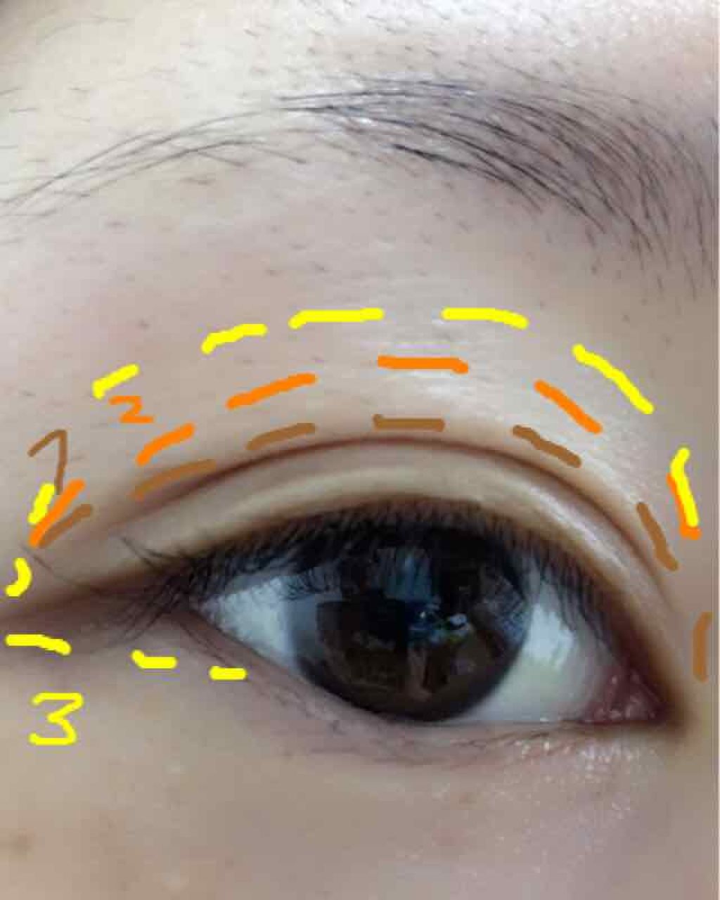 グロッシーリッチ アイズ/Visée/アイシャドウパレットを使ったクチコミ(2枚目)