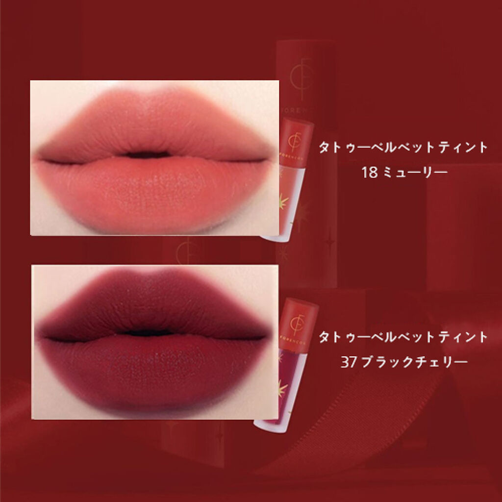 試してみた】ホリデーパーティーセット フォレンコスのリアルな口コミ