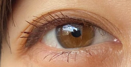 LINE FRIENDS EDITION/rom&nd/メイクアップキットを使ったクチコミ(4枚目)