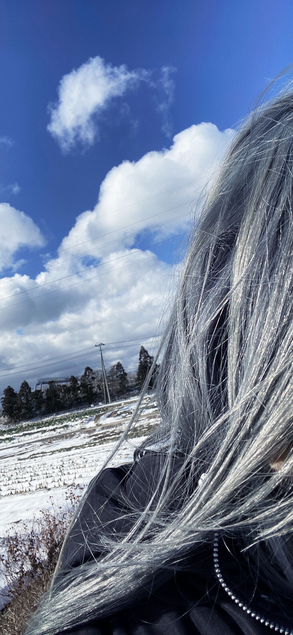 エルセーヴ リスインテンス スムースオイルエッセンス/ロレアル パリ/ヘアオイルを使ったクチコミ(1枚目)