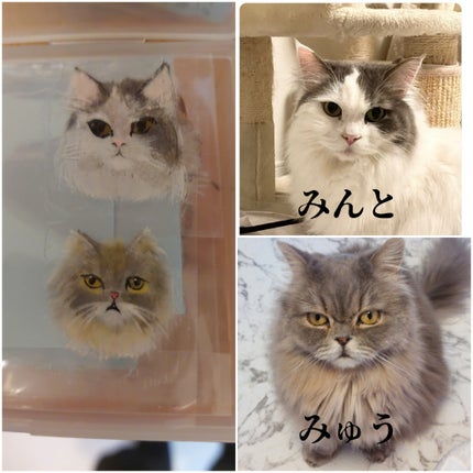 痛ライナー/ネイル工房/ジェルネイルを使ったクチコミ(2枚目)