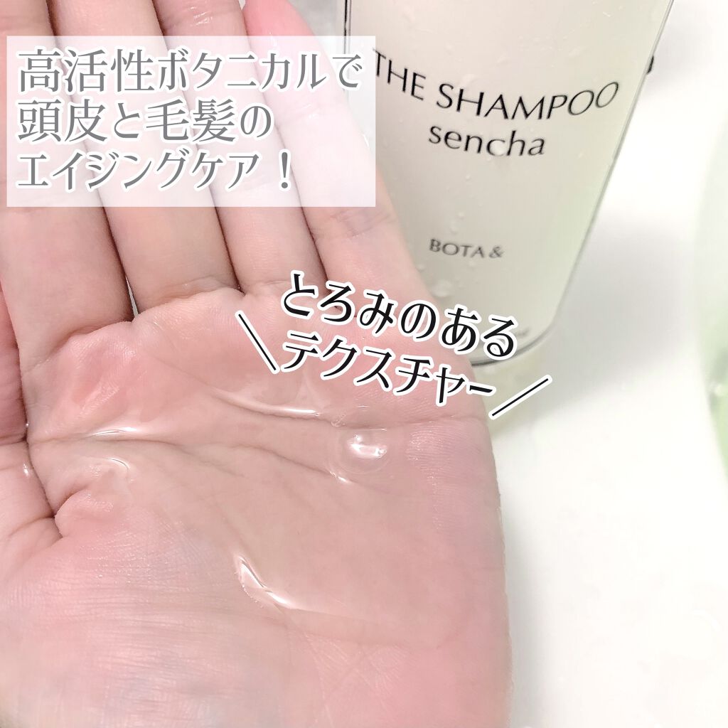 ボタアンド ザ シャンプー <sencha>/クオリティファースト/市販シャンプーを使ったクチコミ（2枚目）