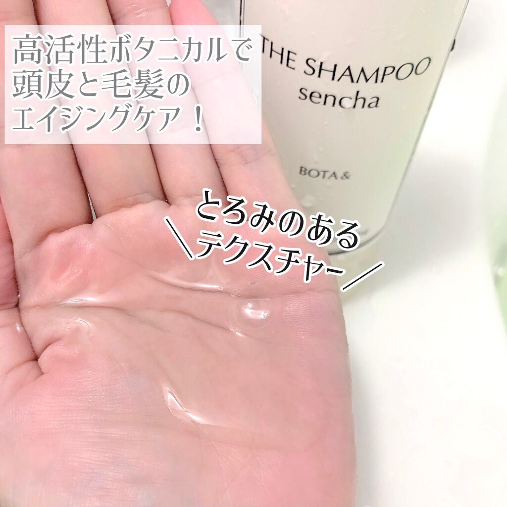 ボタアンド ザ シャンプー <sencha>/クオリティファースト/市販シャンプーを使ったクチコミ(2枚目)