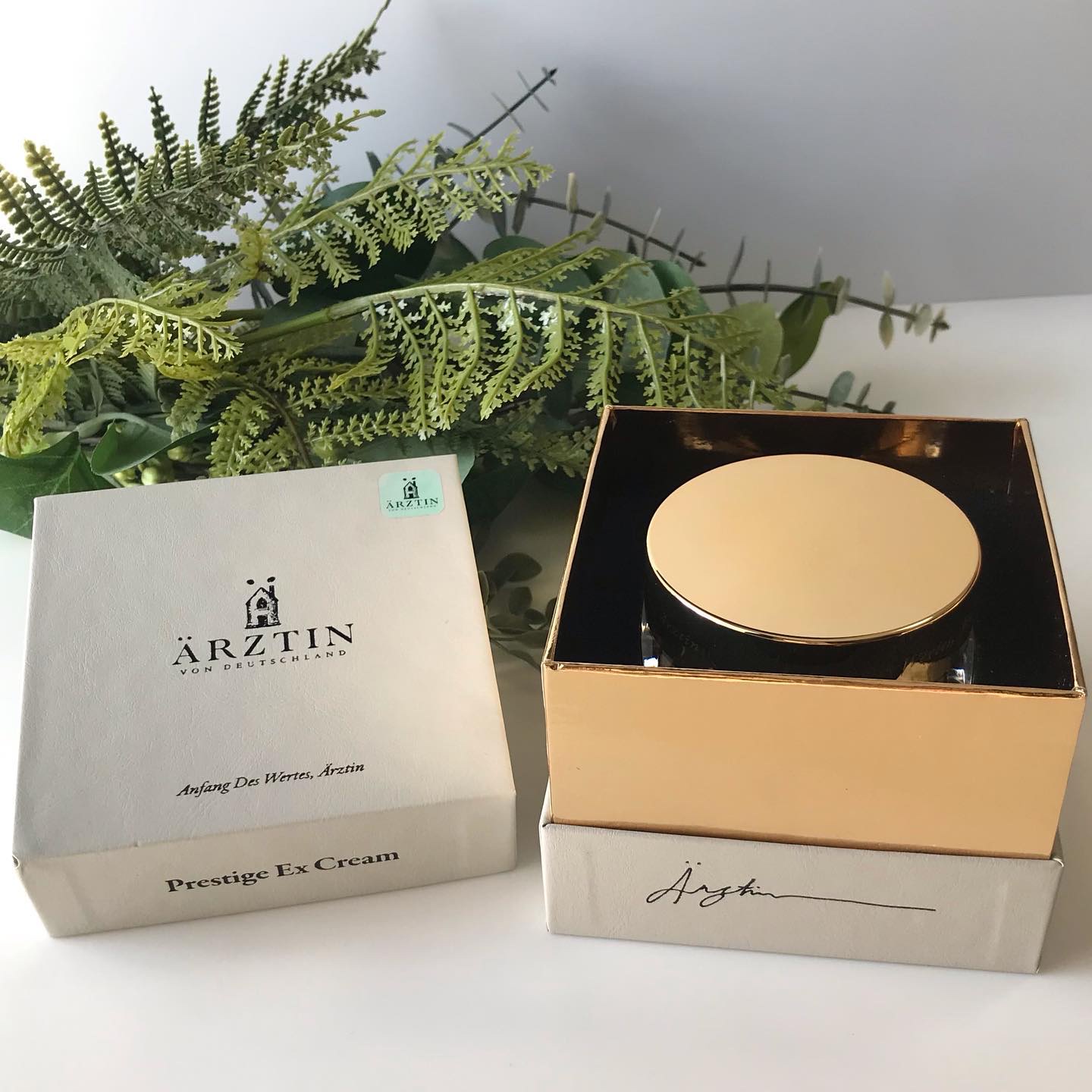 プレステージEXクリーム/エルツティン/フェイスクリームを使ったクチコミ（2枚目）