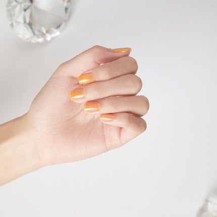 TM03 マンゴーラッシー