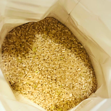 つきあかり 玄米/グレイス/バランス栄養食を使ったクチコミ(4枚目)