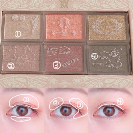 ナイストゥミーチュートランク/MAJOLICA MAJORCA/アイシャドウパレットを使ったクチコミ(2枚目)