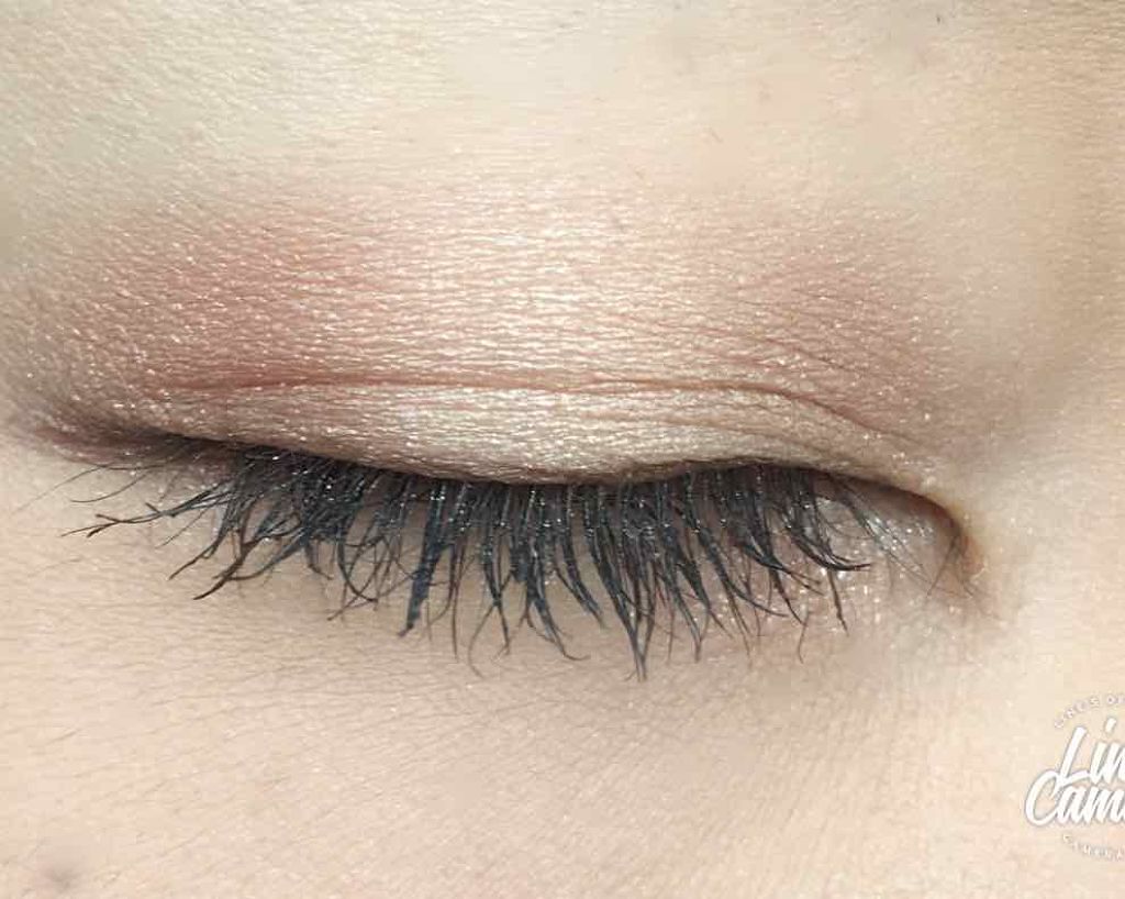 グラマラスヌード アイパレット (クリスマスコフレ 2017)/Visée/メイクアップキットを使ったクチコミ(3枚目)