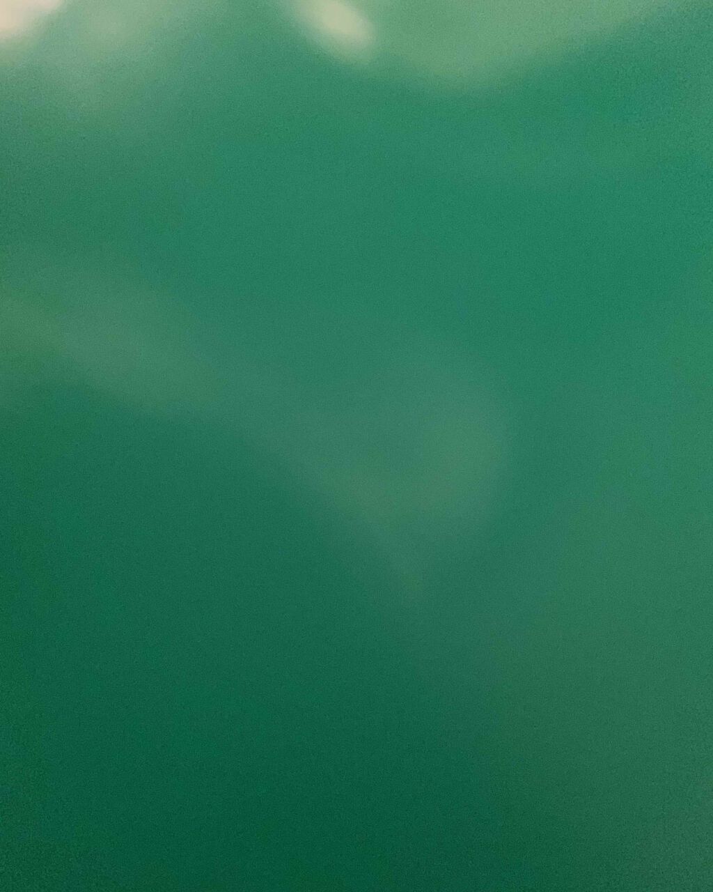 テンプル オブ ザ スカイ/ラッシュ/入浴剤を使ったクチコミ（2枚目）