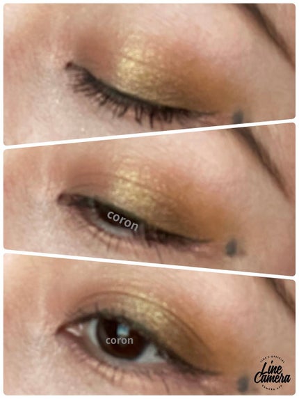 パンプキン スパイス アイシャドウ パレット(旧)/Too Faced/アイシャドウパレットを使ったクチコミ(2枚目)