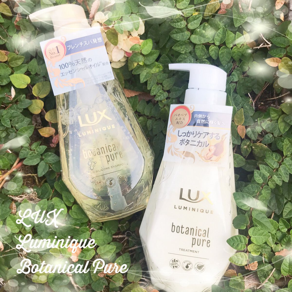 ルミニーク ボタニカルピュア シャンプー/トリートメント/LUX/市販シャンプーを使ったクチコミ(2枚目)