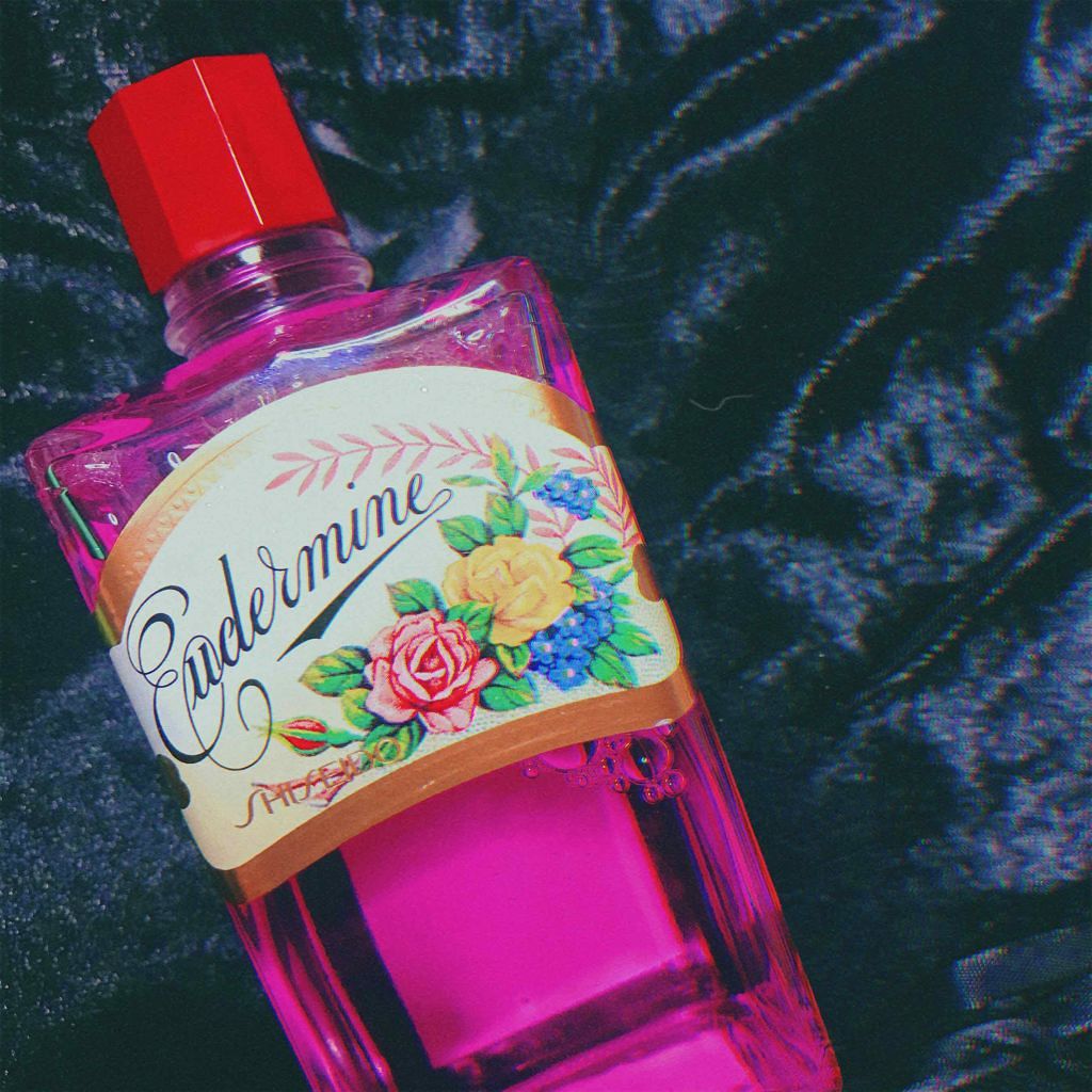 オードルックス（ノーマル） Ｎ/ドルックス/化粧水を使ったクチコミ（2枚目）