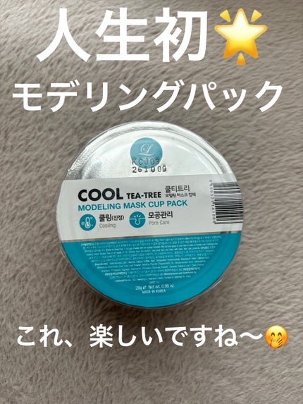 モデリングカップパック クールティーツリー/LINDSAY/洗い流すパック・マスクを使ったクチコミ(1枚目)