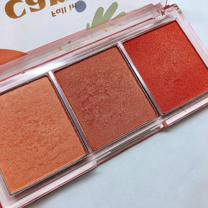 All Take Mood Cheek Palette/PERIPERA/パウダーチークを使ったクチコミ(2枚目)