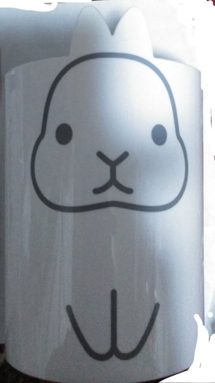 USAGI ゴミ箱/キャンドゥ/その他を使ったクチコミ(1枚目)