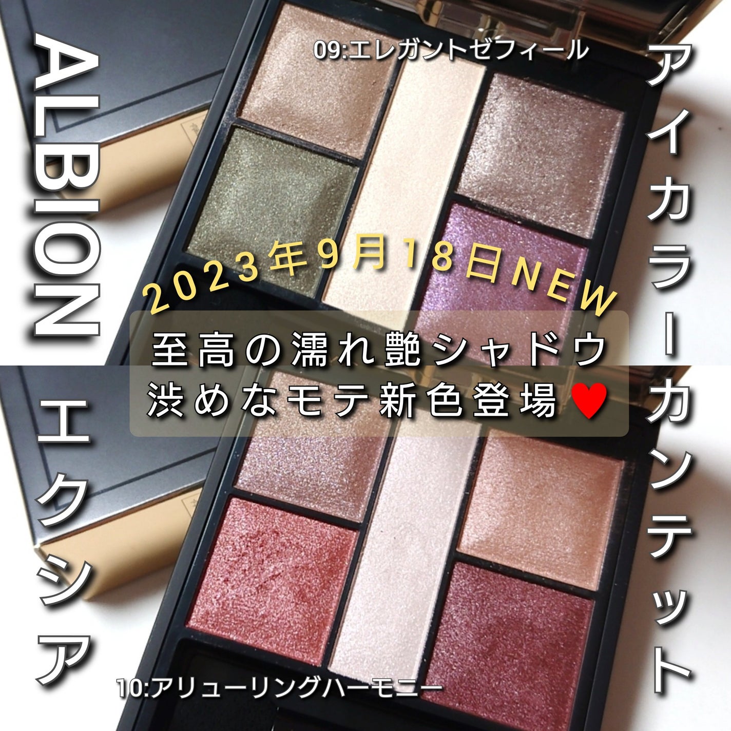 エクシア アイカラー カンテット/ALBION/アイシャドウパレットを使ったクチコミ(1枚目)