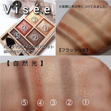 パノラマデザイン アイパレット/Visée/パウダーアイシャドウを使ったクチコミ（6枚目）