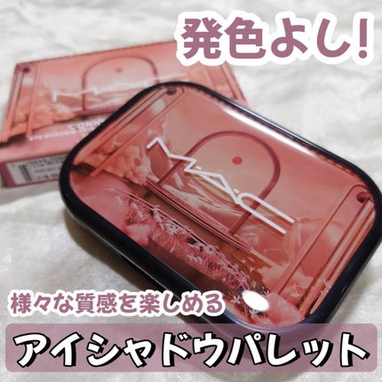 コネクト イン カラー アイシャドウ パレット × 6/M・A・C/アイシャドウパレットを使ったクチコミ(1枚目)