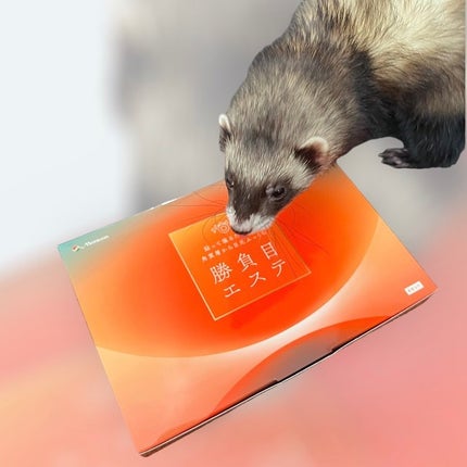 マイクロニードルヒアルロン酸パック 勝負目エステ/メニコン/シートマスク・パックを使ったクチコミ(5枚目)