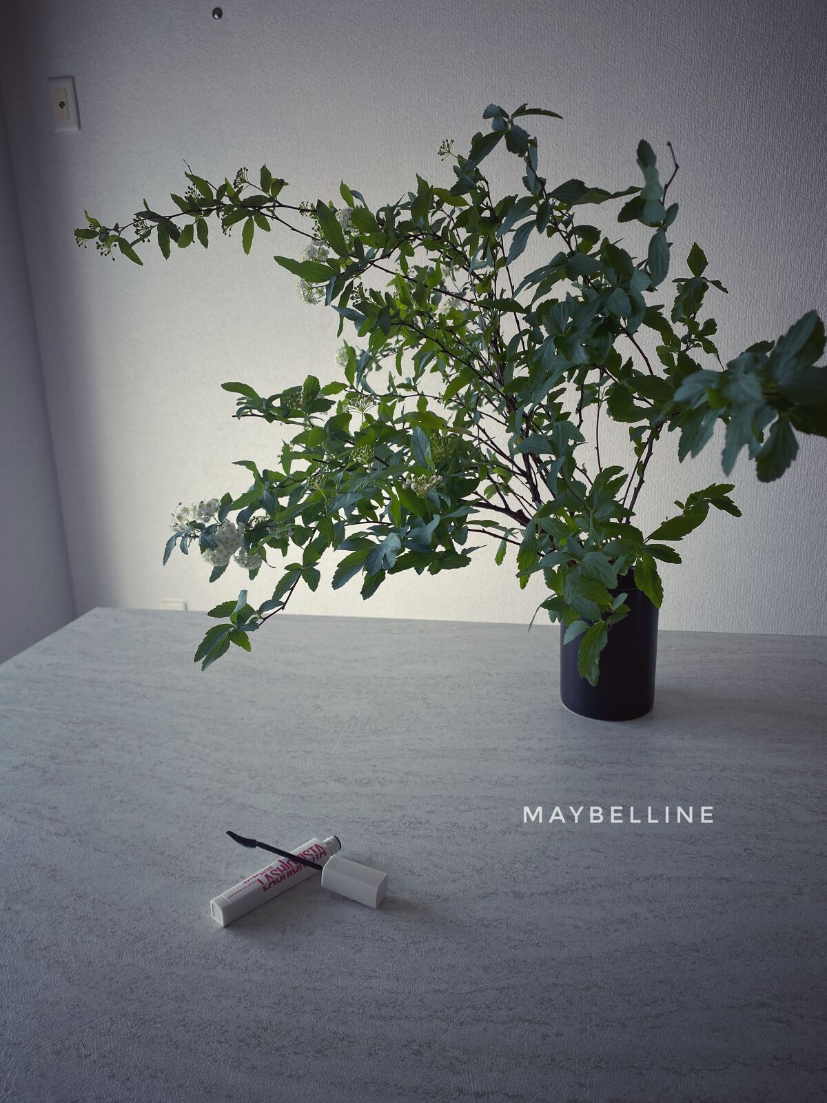 ラッシュニスタ プライマー/MAYBELLINE NEW YORK/マスカラ下地を使ったクチコミ(1枚目)