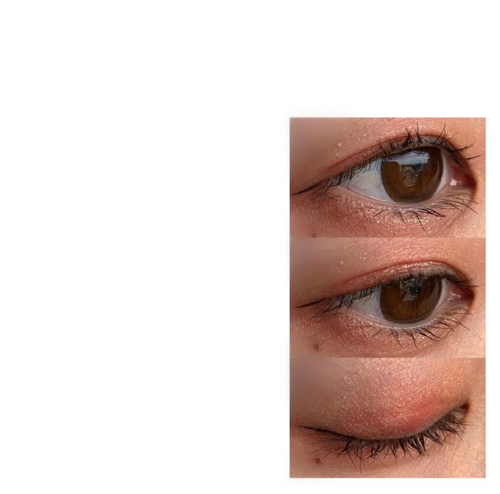 アリスドリームランドシリーズ 12色アイシャドウパレット（ZEESEA×大英博物館）/ZEESEA/アイシャドウパレットを使ったクチコミ（3枚目）