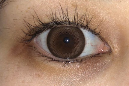 melotte 1day/melotte/ワンデー(1DAY)カラコンを使ったクチコミ(1枚目)