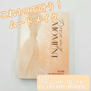 プロ ムード パレット 01 DREAMY MOMENT/CLIO/アイシャドウパレットを使ったクチコミ（1枚目）