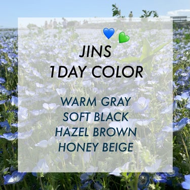 JINS 1DAY COLOR 
color：WARM GRAY /  SOFT BLACK / HAZEL BROWN / HONEY BEIGE
(( DIA 14.2 / BC 8.7 / 着色直